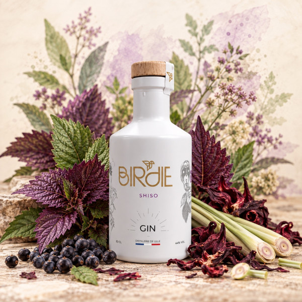 GIN ÉPICES SHISO 20CL