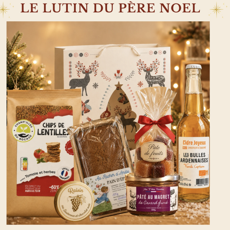 LE LUTIN DU PÈRE NOËL